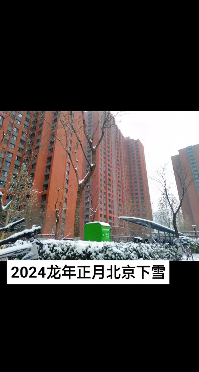 北京下雪;北京下雪了吗