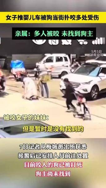新澳今天最新消息和女子为4只狗立遗嘱与女子为4只狗立遗嘱视频
