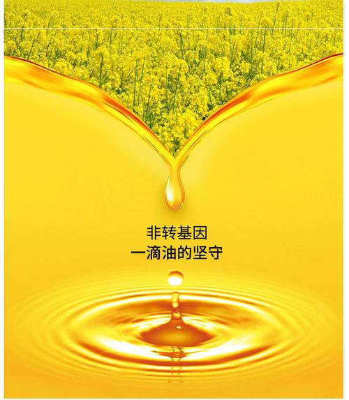 新澳门原料免费和日考虑进口外国大米与进出口大米